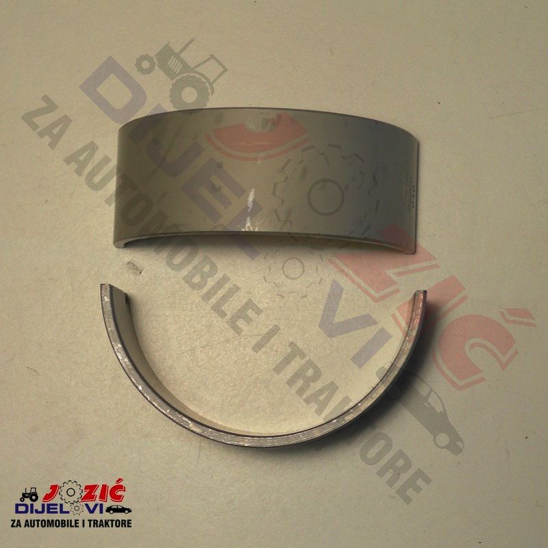 Daisy on the Ohoopee